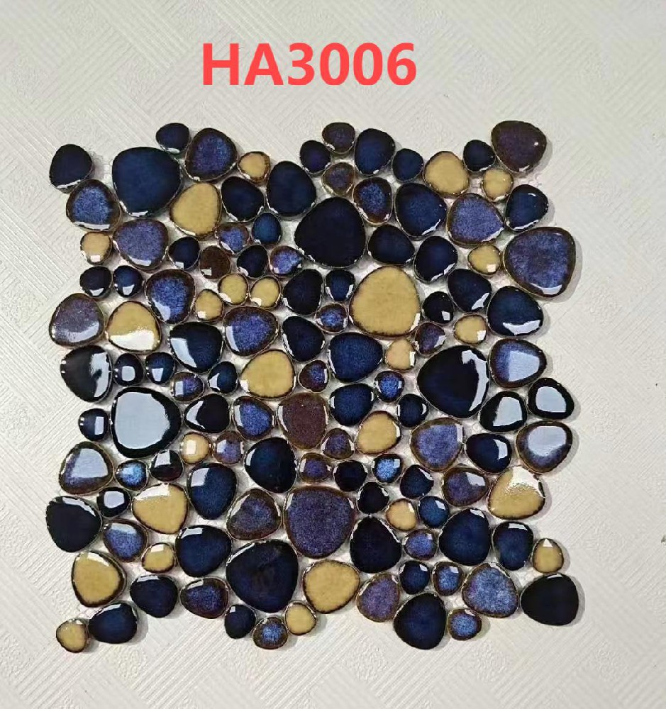 HA3006