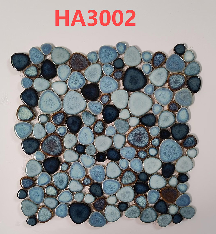 HA3002